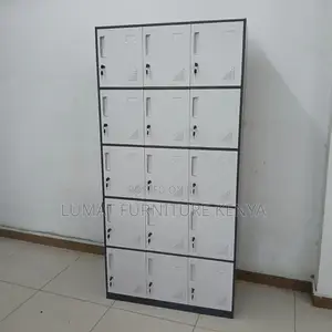Office Gym Locker Unit