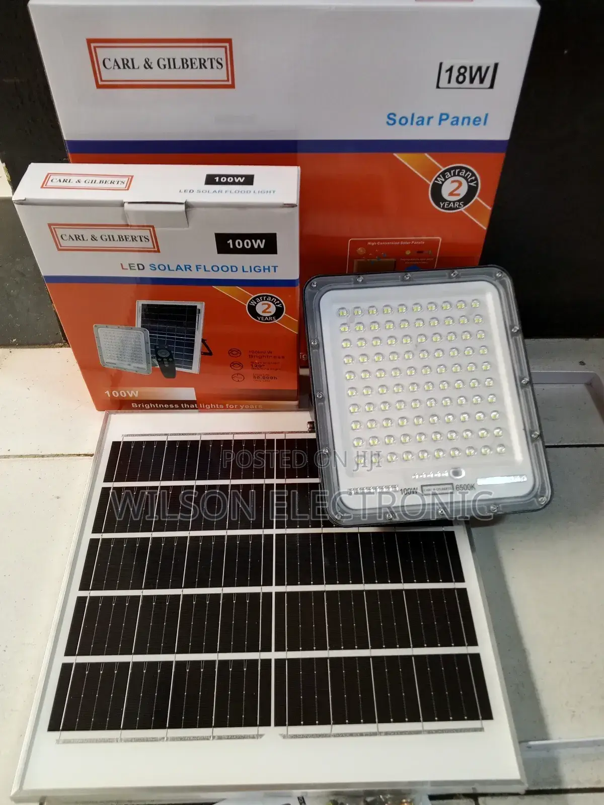Carl Gilbert Solar Floodlight 100w