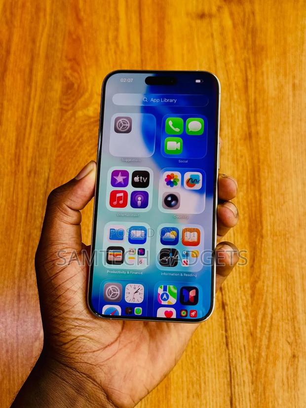 Apple iPhone 15 Pro Max 256 GB Silver - main view