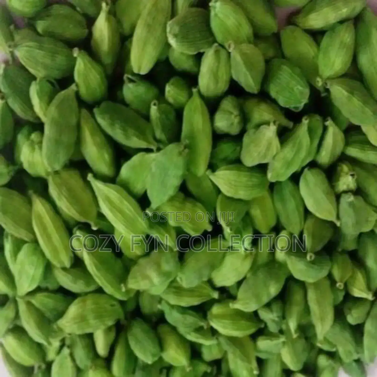 Green Cardamon