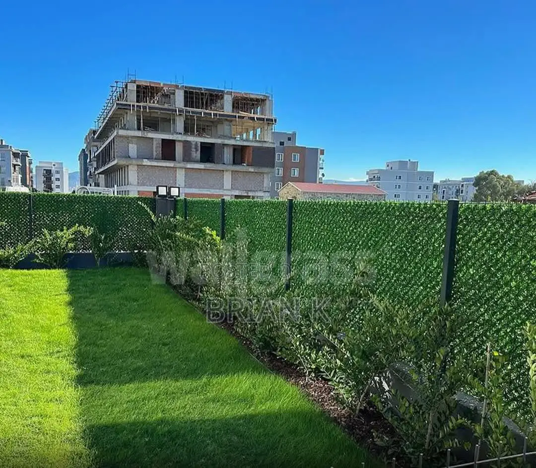 Chain Link Fence Green Wall