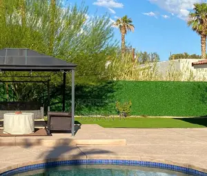 Chain Link Fence Green Wall