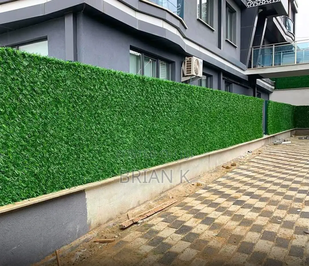 Chain Link Fence Green Wall