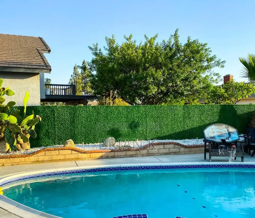Chain Link Fence Green Wall