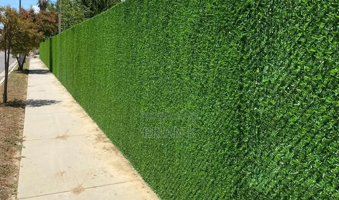 Chain Link Fence Green Wall