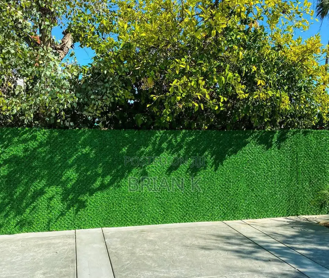 Chain Link Fence Green Wall