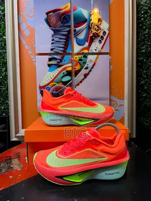 Nike Zoom Fly 6
