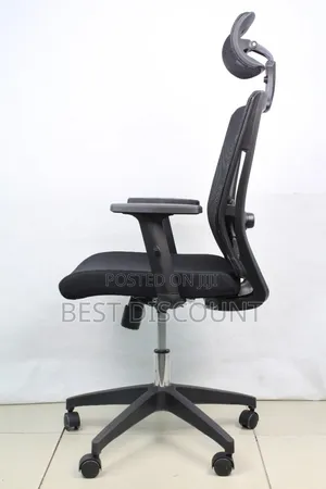 Plastic Base Ergonomic Office Chair