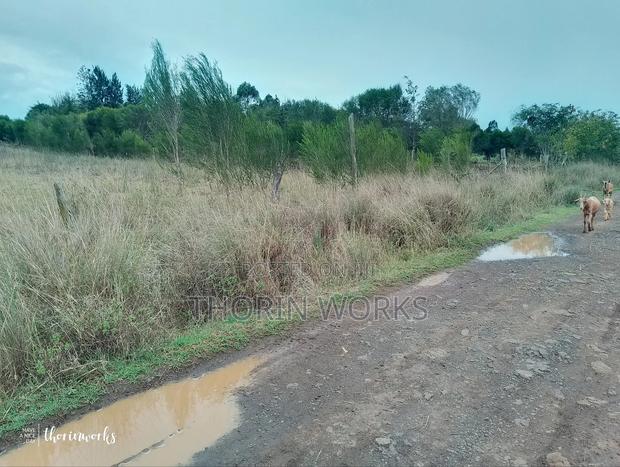 1⁄2 Acre Land - thumbnail 4