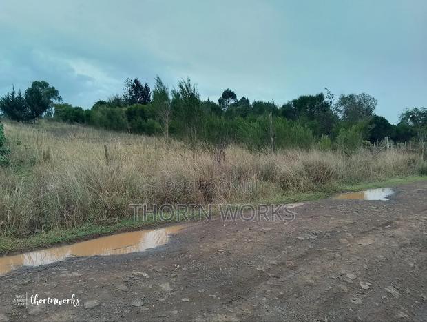 1⁄2 Acre Land - thumbnail 5