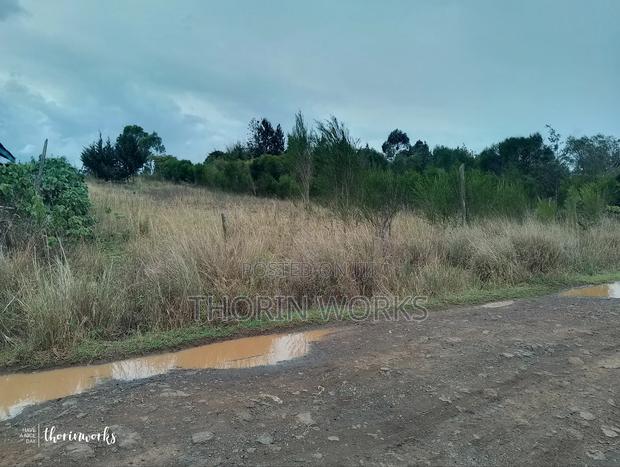 1⁄2 Acre Land - thumbnail 6