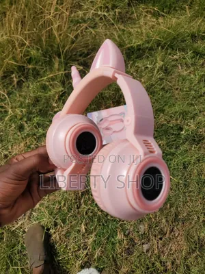 Fancy Kids Wireless Headphones