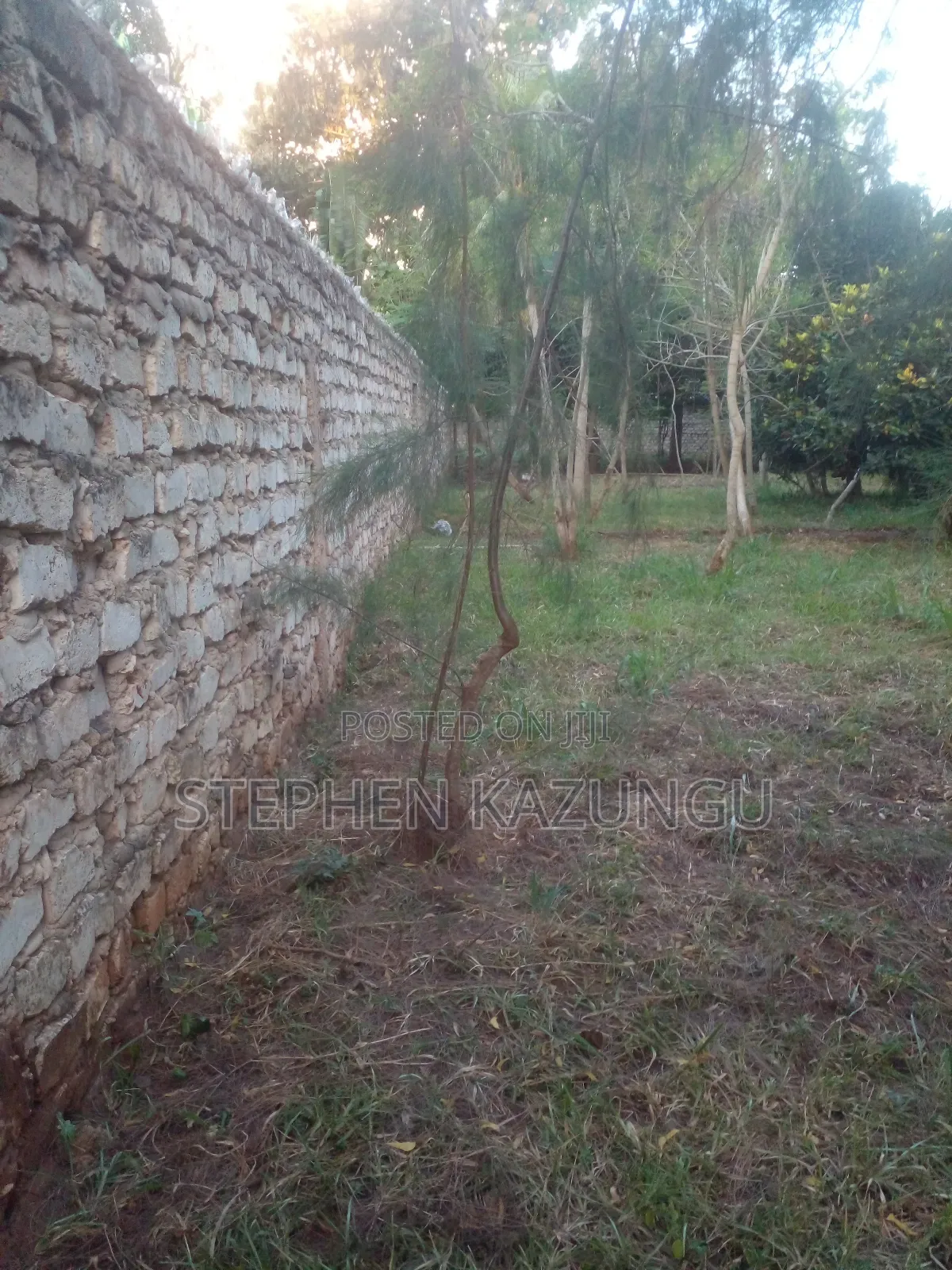 1/2 Acre Plot With 1 Bedroom House on Sale