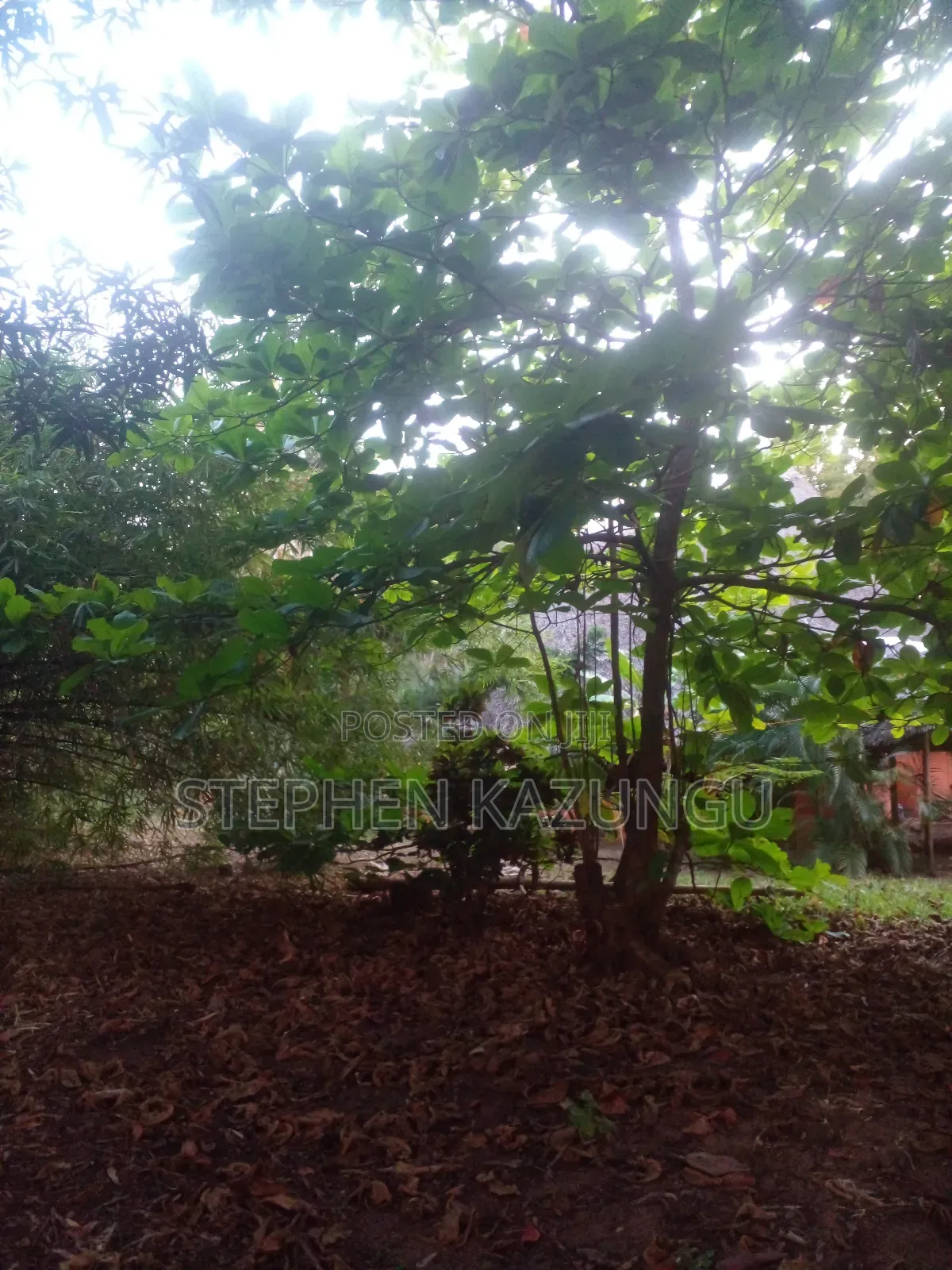1/2 Acre Plot With 1 Bedroom House on Sale