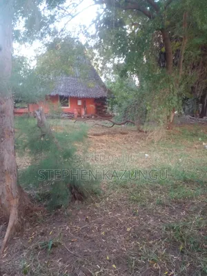1/2 Acre Plot With 1 Bedroom House on Sale