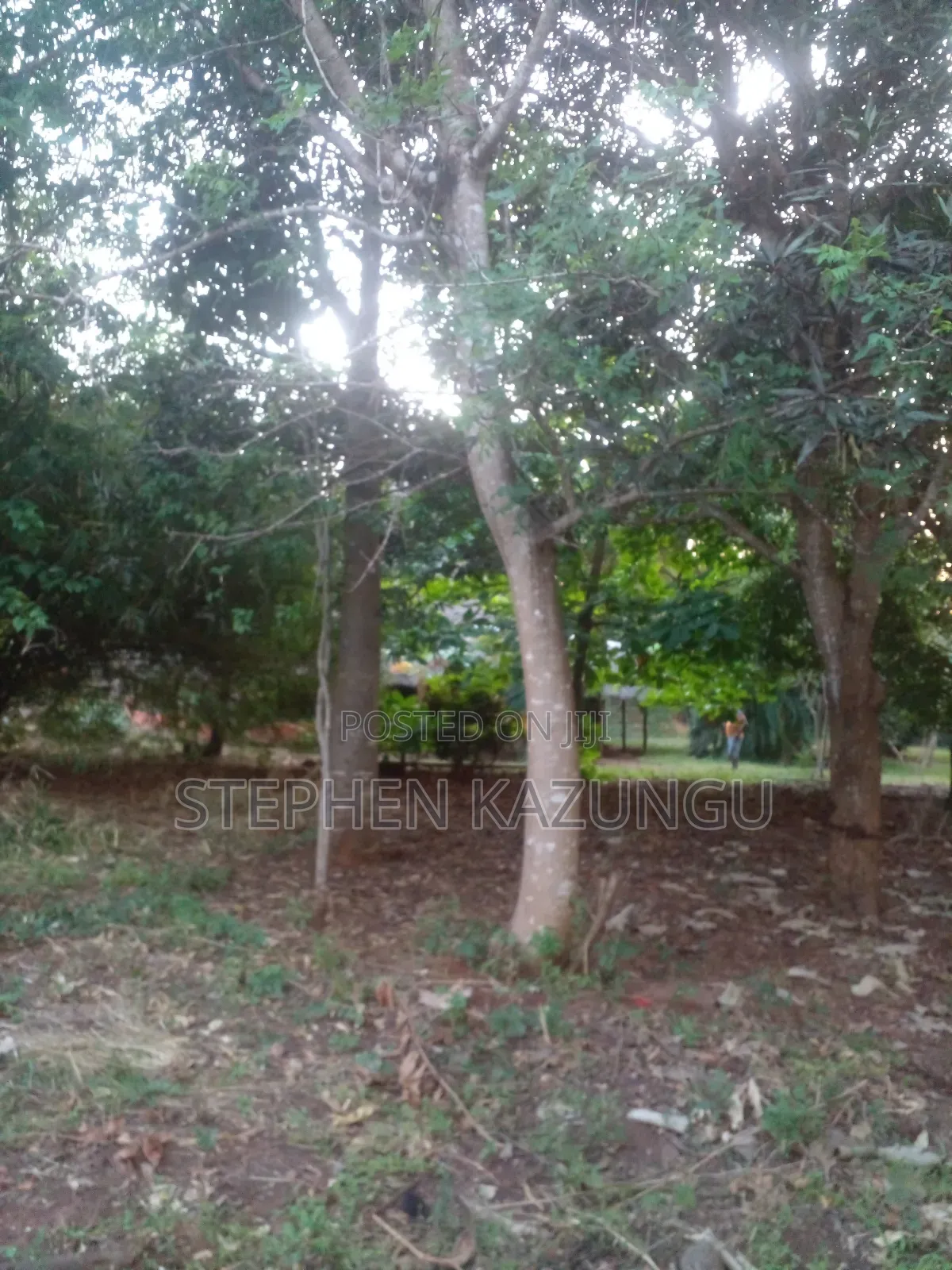 1/2 Acre Plot With 1 Bedroom House on Sale