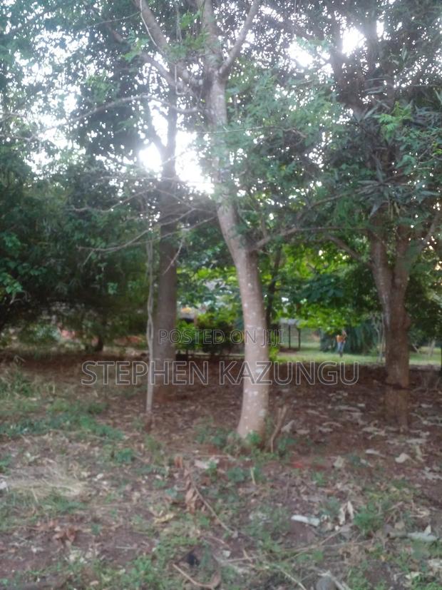 1/2 Acre Plot With 1 Bedroom House on Sale - thumbnail 8