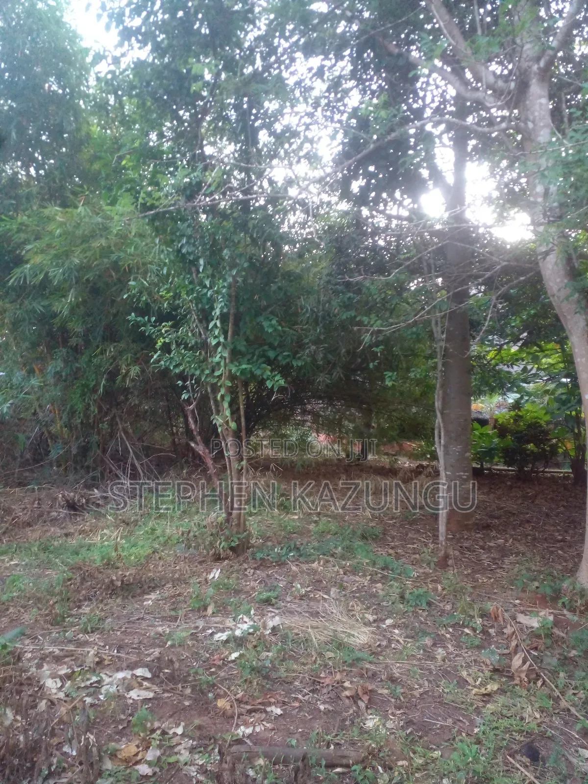 1/2 Acre Plot With 1 Bedroom House on Sale