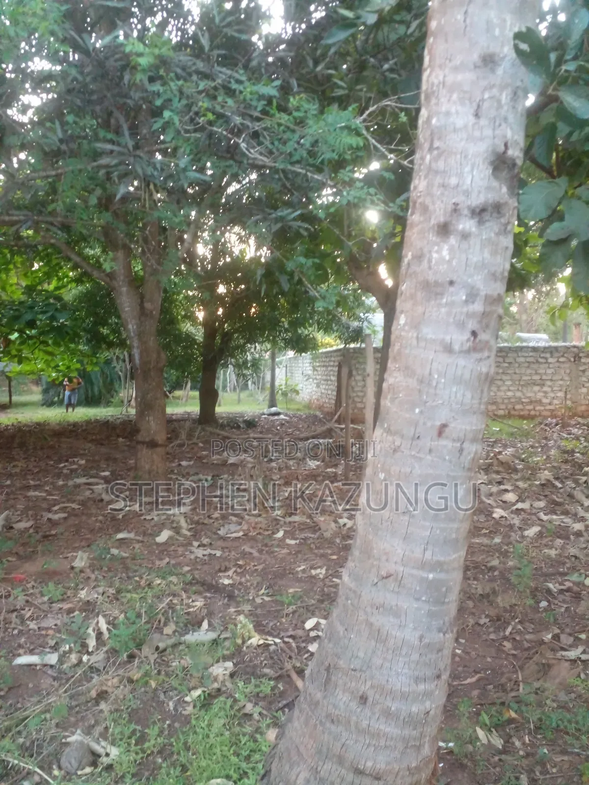 1/2 Acre Plot With 1 Bedroom House on Sale
