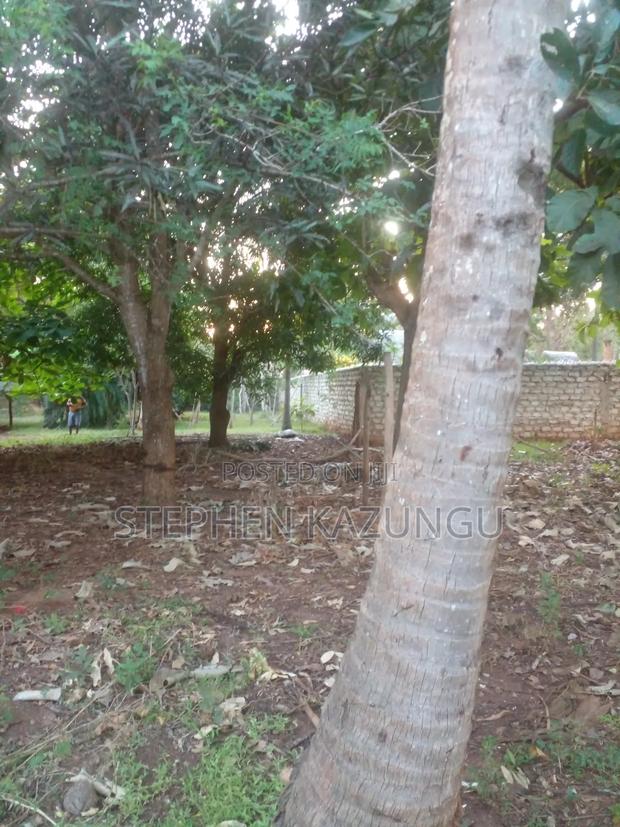 1/2 Acre Plot With 1 Bedroom House on Sale - thumbnail 10