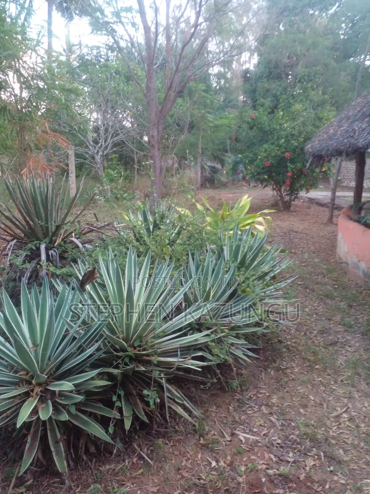 1/2 Acre Plot With 1 Bedroom House on Sale