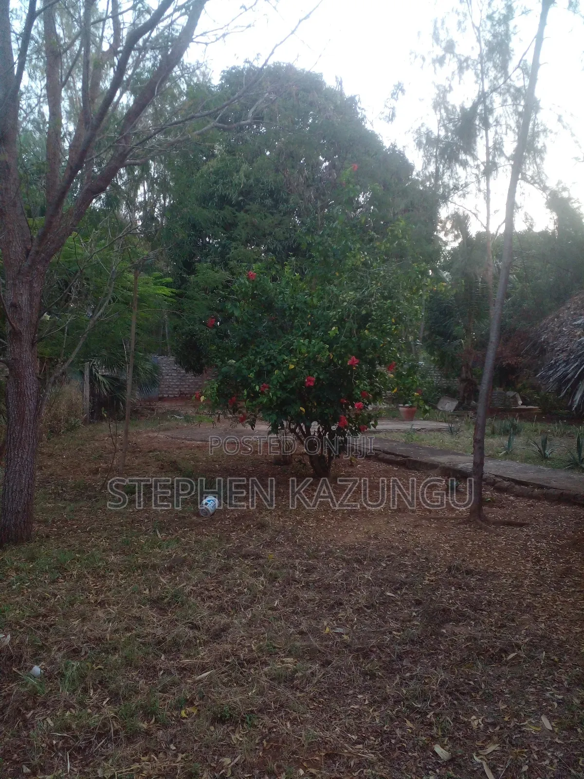 1/2 Acre Plot With 1 Bedroom House on Sale