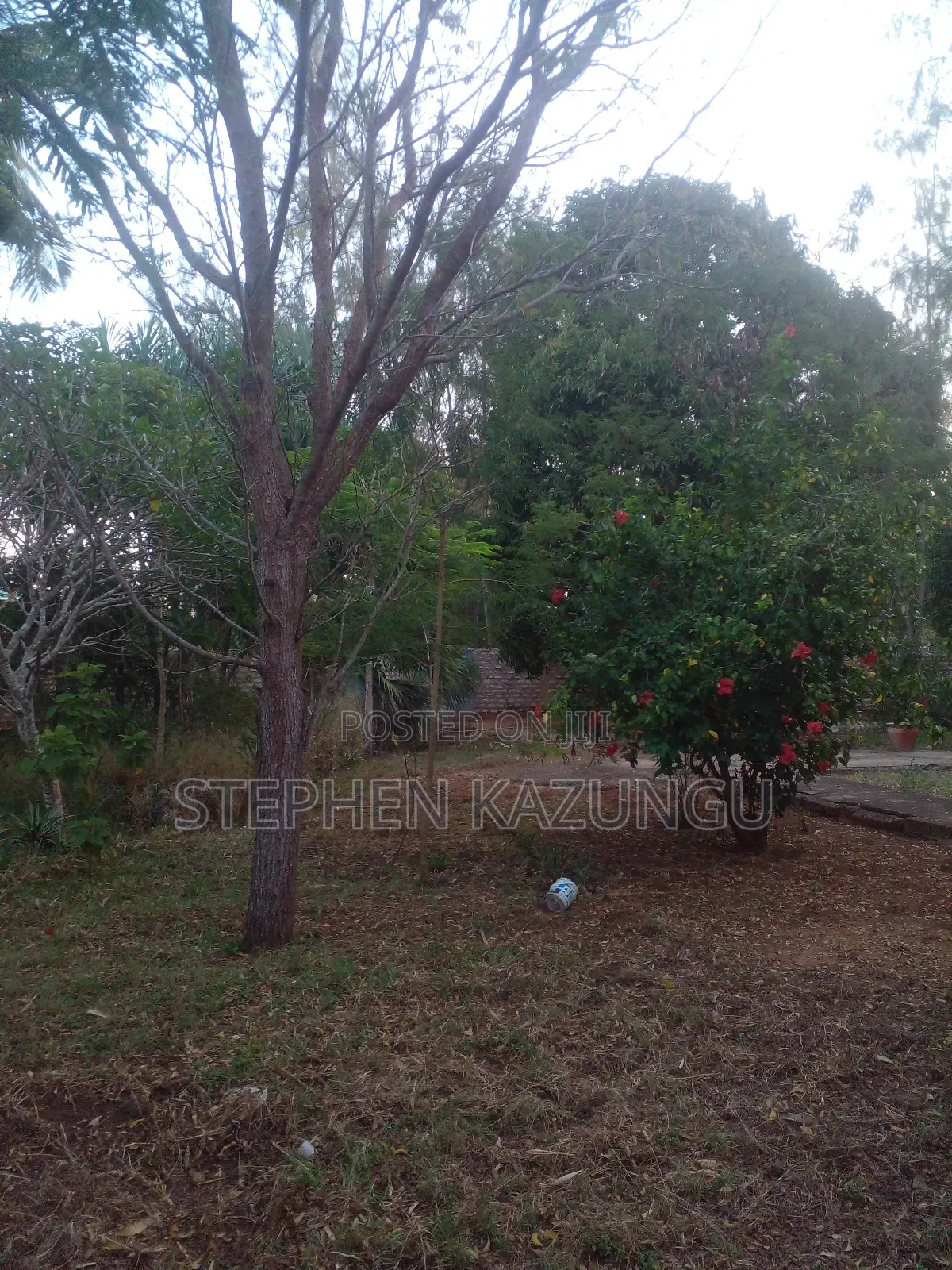 1/2 Acre Plot With 1 Bedroom House on Sale
