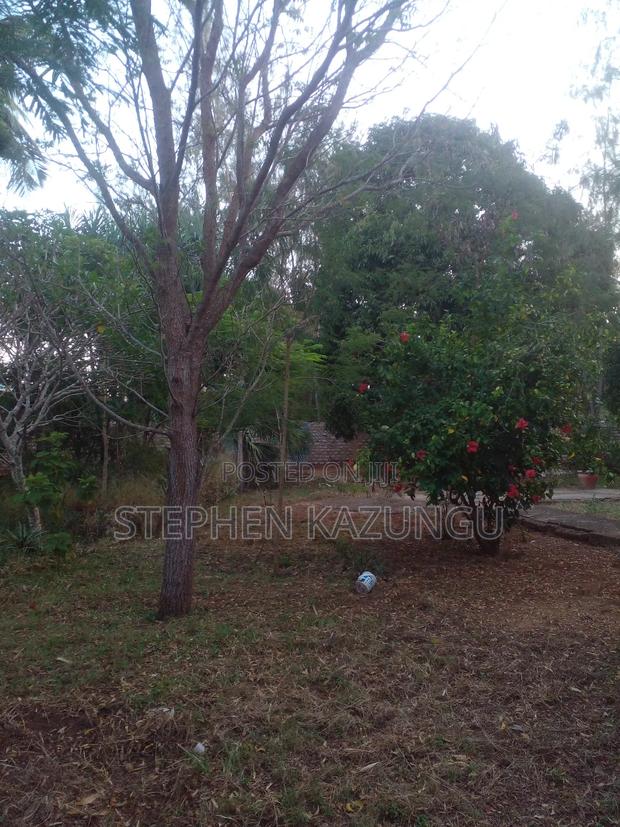 1/2 Acre Plot With 1 Bedroom House on Sale - thumbnail 15