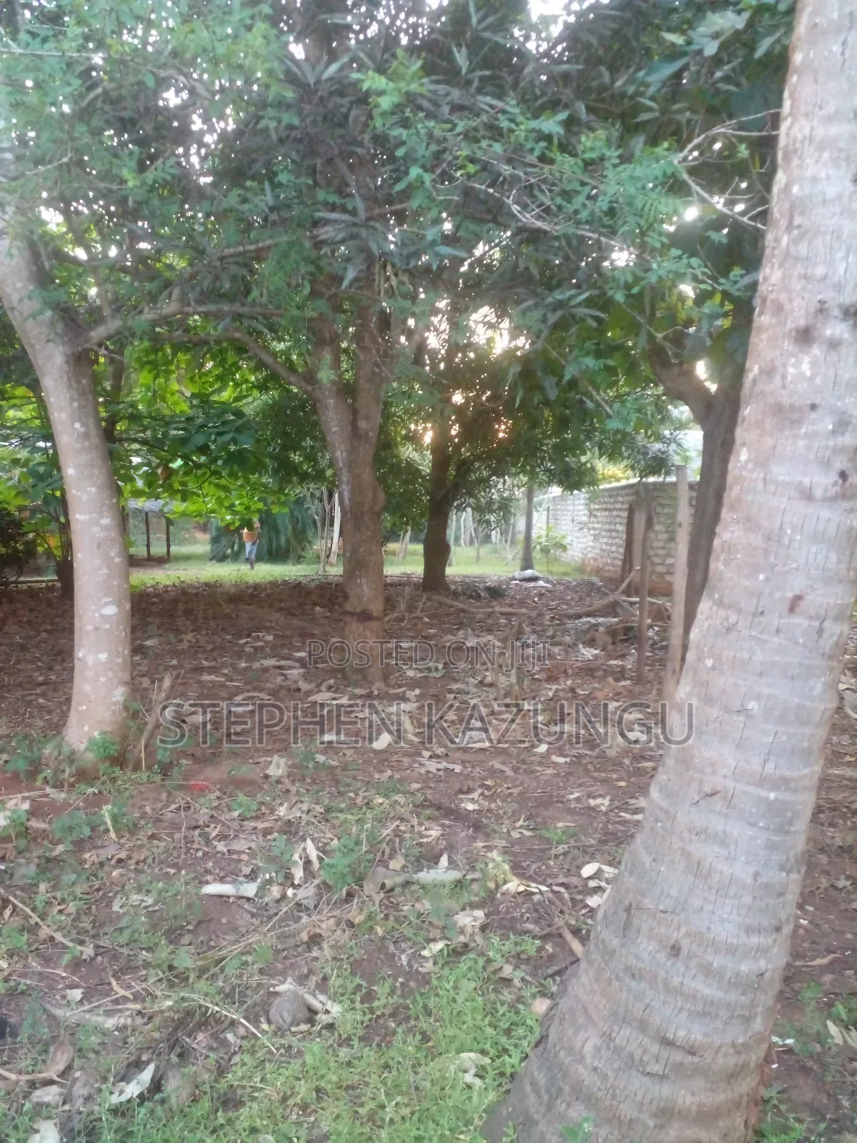 1/2 Acre Plot With 1 Bedroom House on Sale