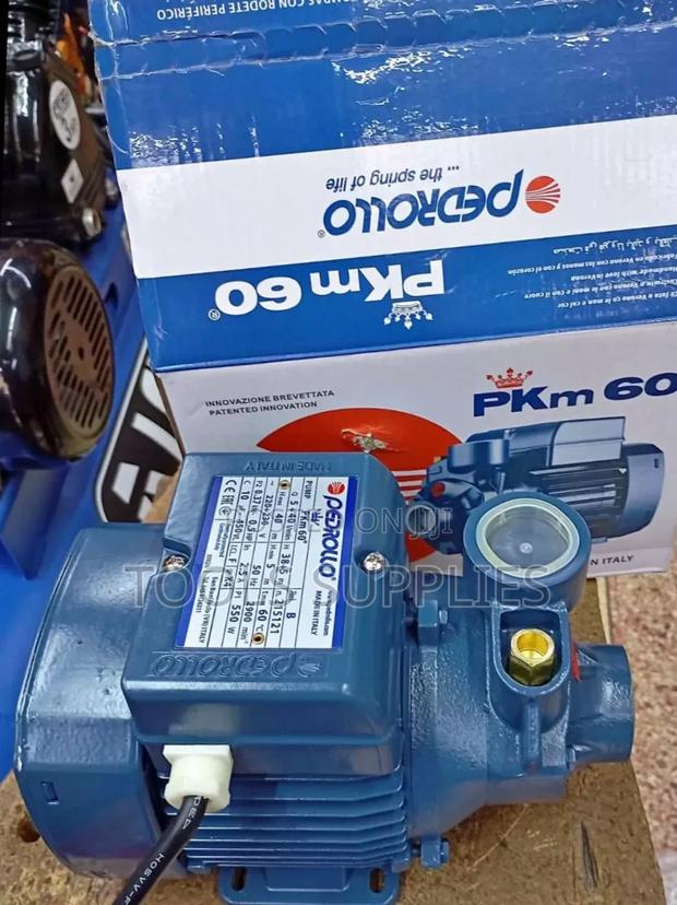 Pedroll Water Pump / 0.5 Hp Pump - main view