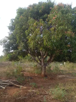 5 Acres Land 700 Metres From Beach