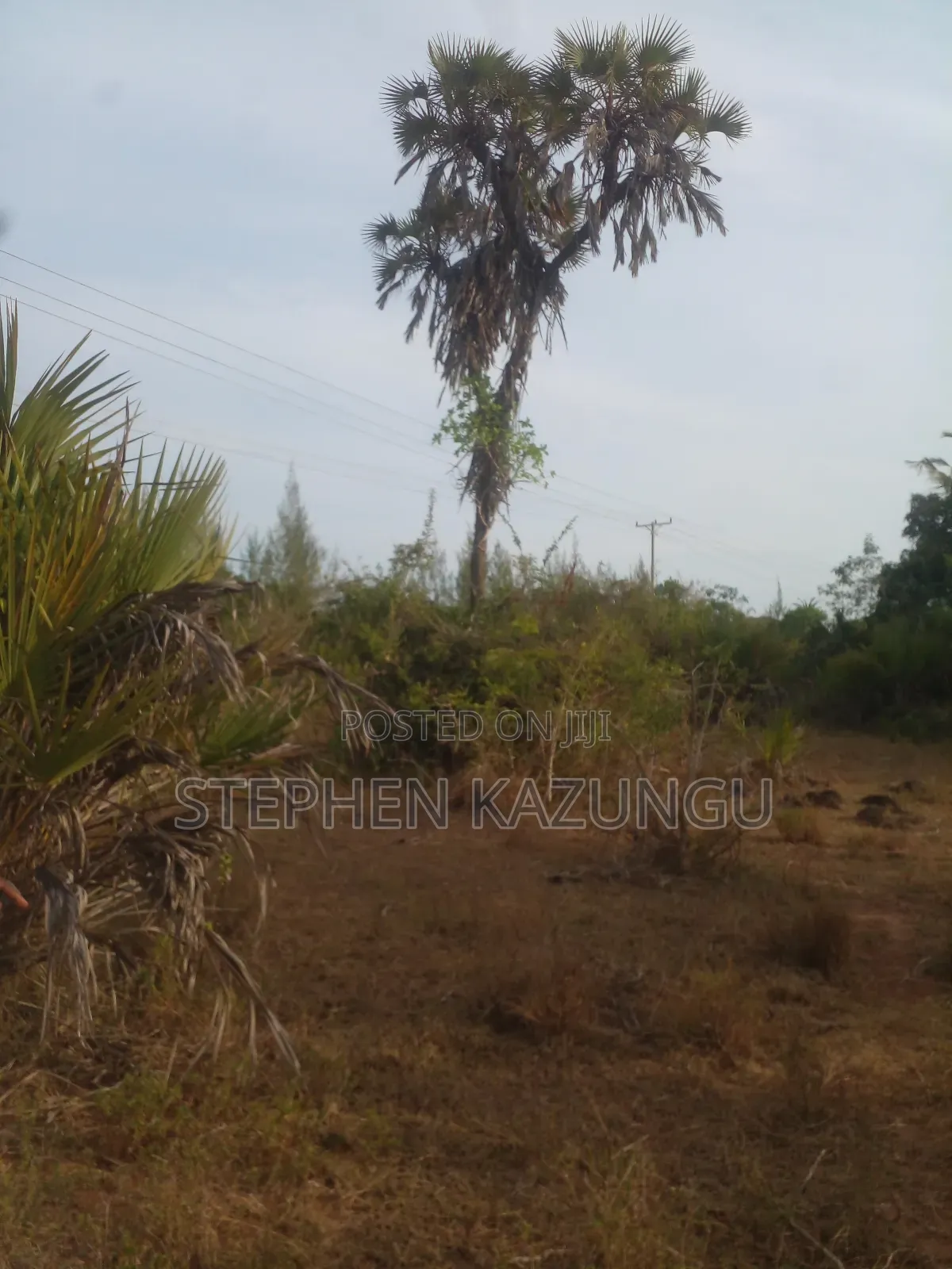 5 Acres Land 700 Metres From Beach