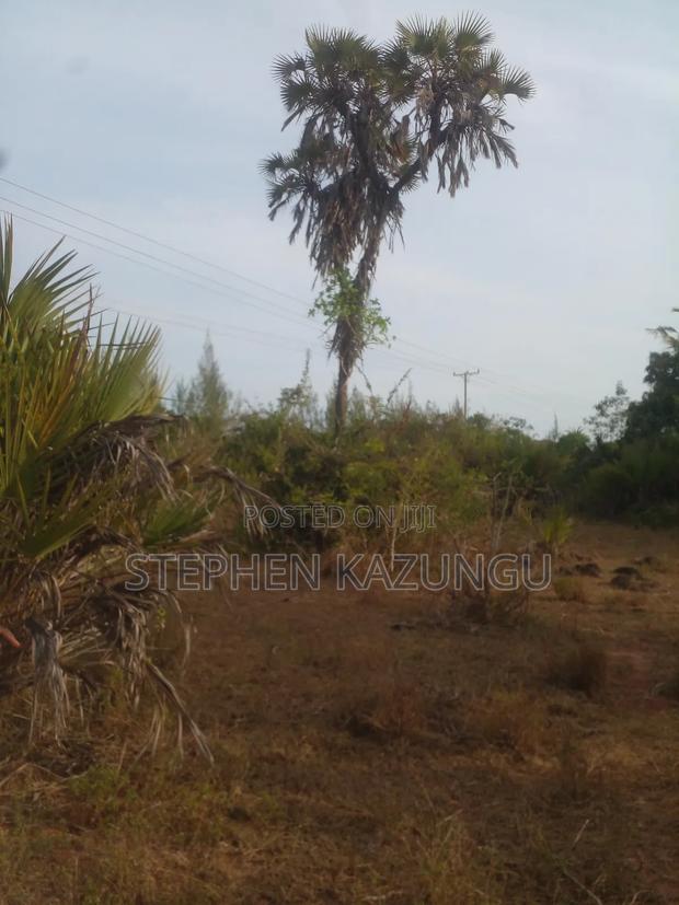 5 Acres Land 700 Metres From Beach - thumbnail 9