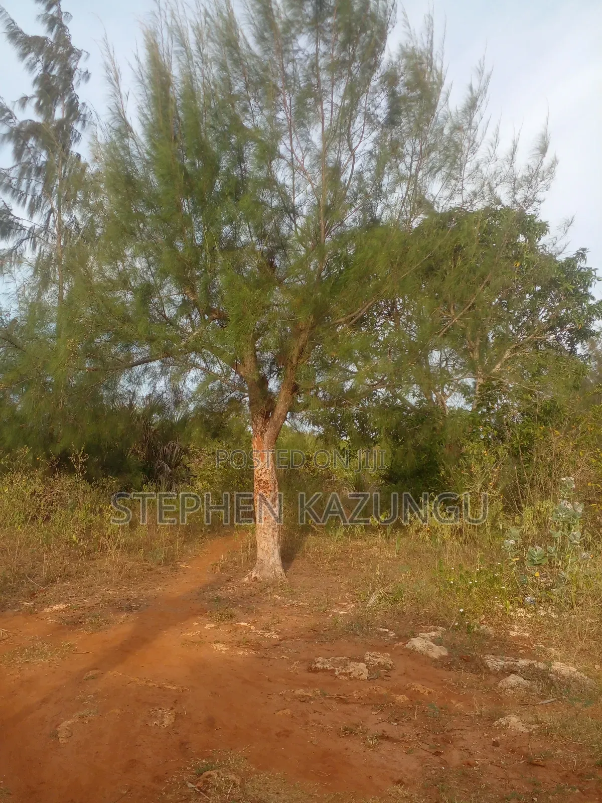 5 Acres Land 700 Metres From Beach
