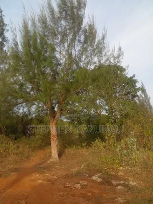 5 Acres Land 700 Metres From Beach