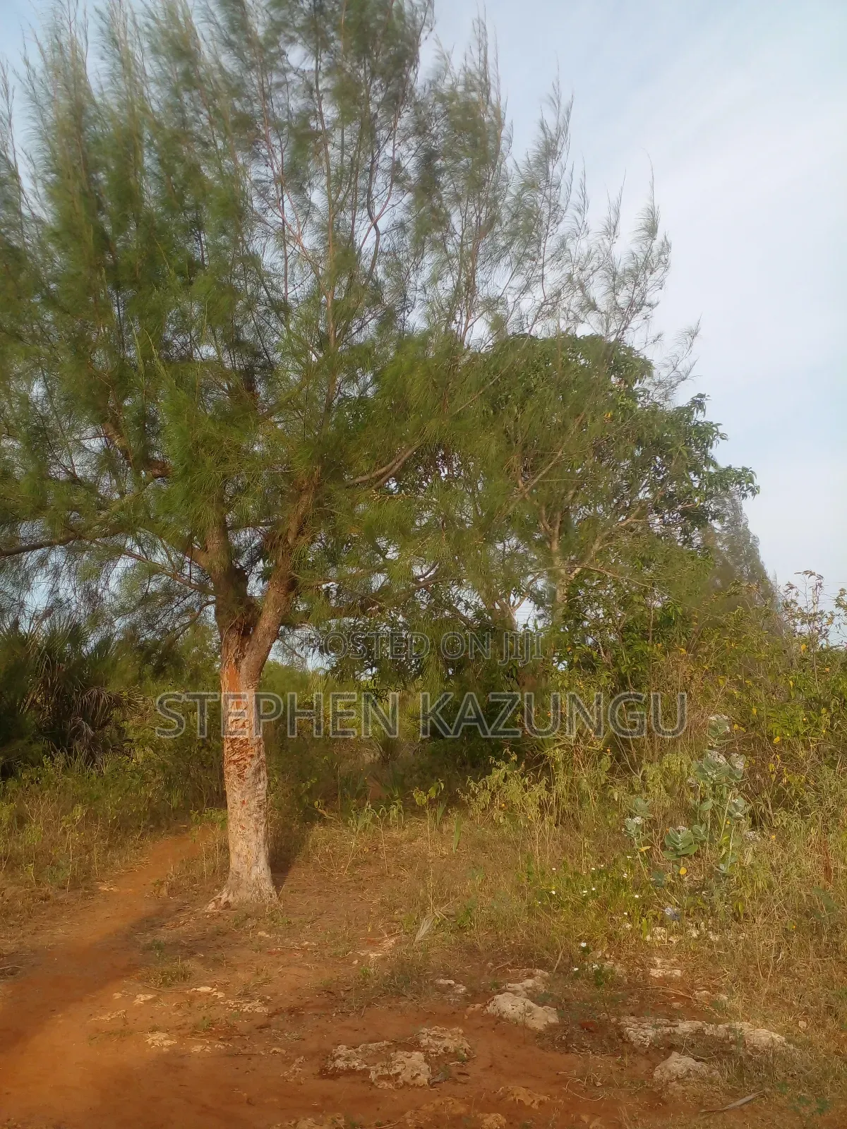 5 Acres Land 700 Metres From Beach