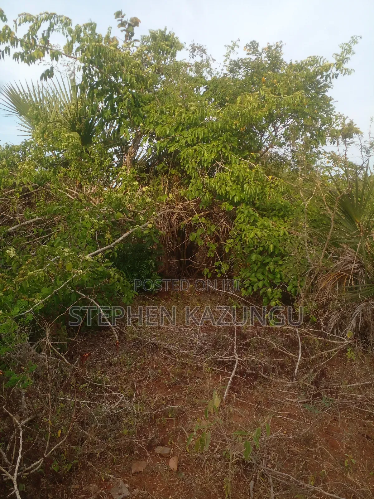 5 Acres Land 700 Metres From Beach