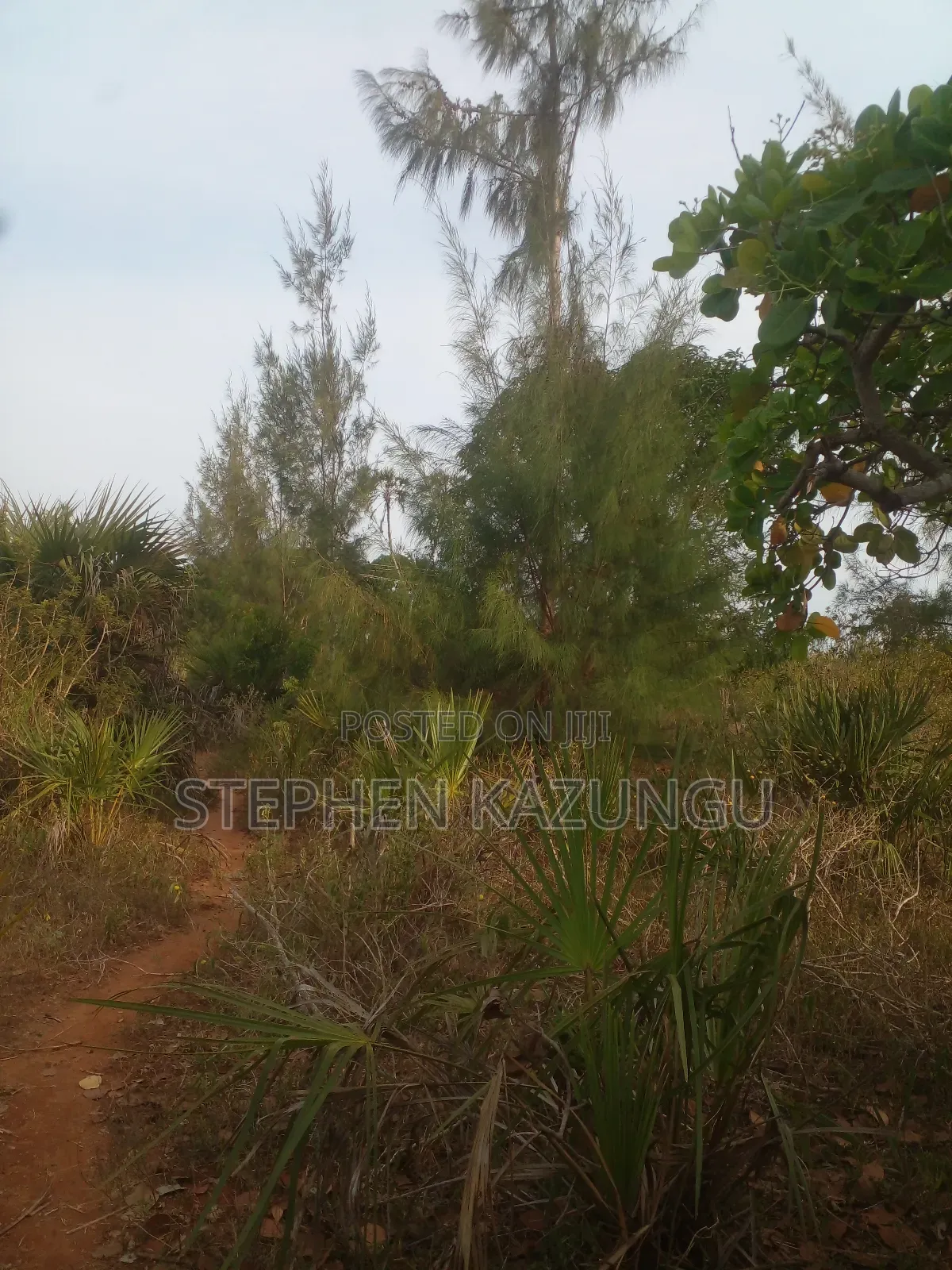 5 Acres Land 700 Metres From Beach
