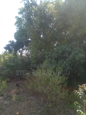 1/2 Acre Plot on Sale in Kinondo Beach Side.