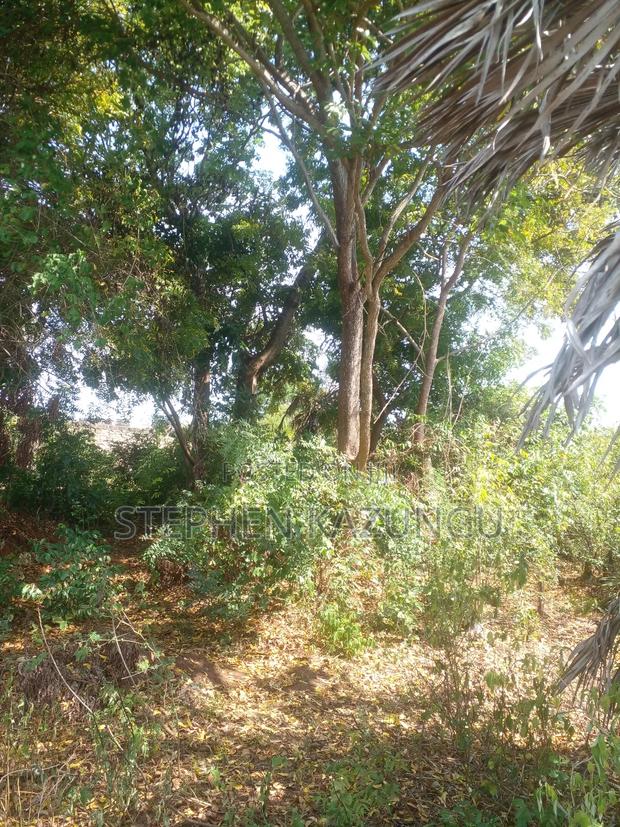 1/2 Acre Plot on Sale in Kinondo Beach Side. - thumbnail 3
