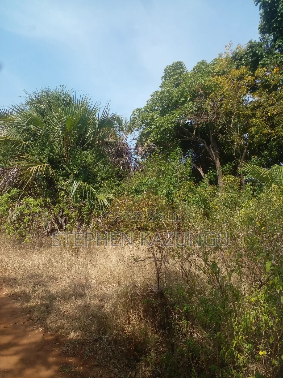 1/2 Acre Plot on Sale in Kinondo Beach Side.