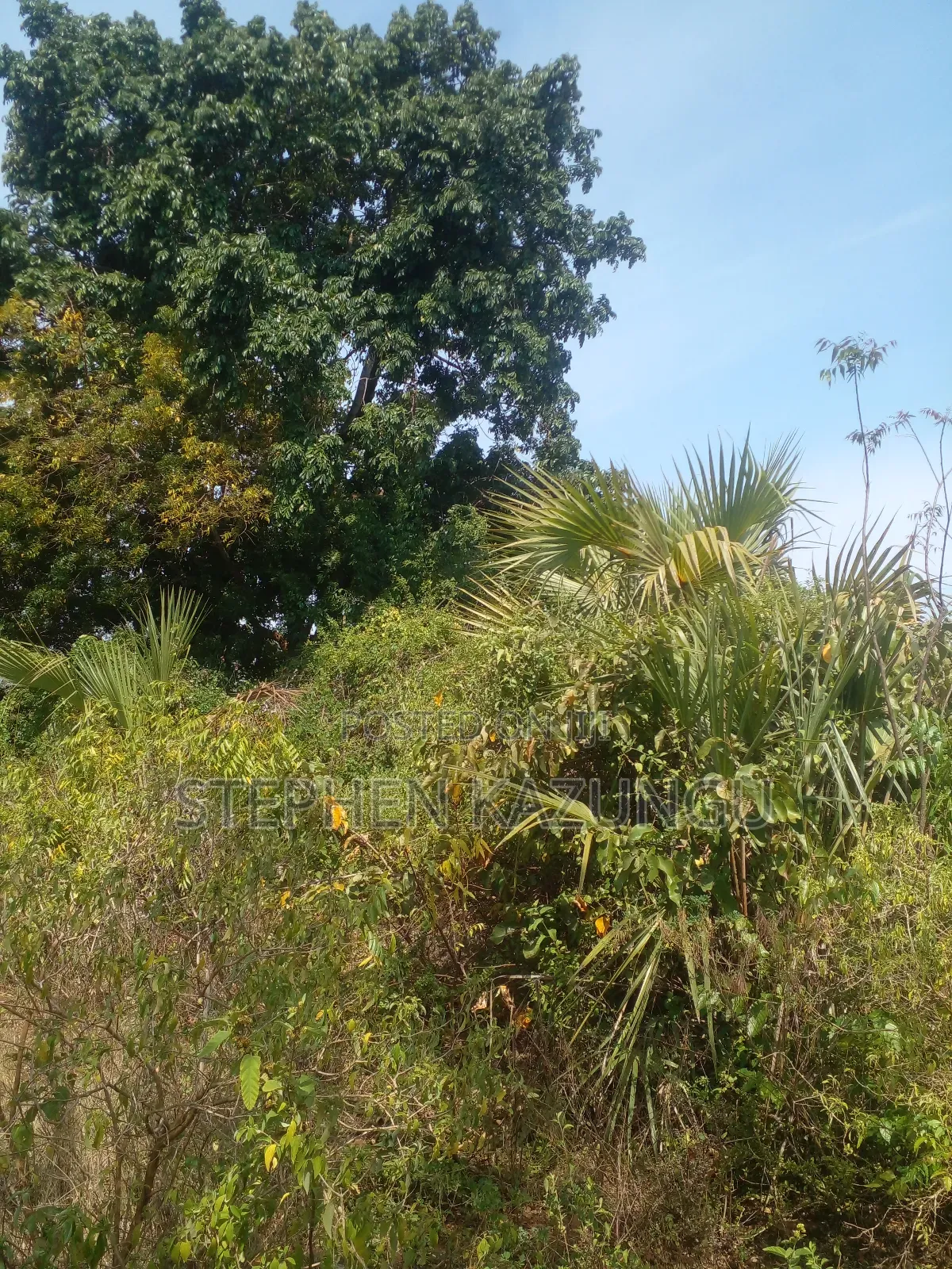 1/2 Acre Plot on Sale in Kinondo Beach Side.