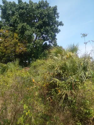 1/2 Acre Plot on Sale in Kinondo Beach Side.