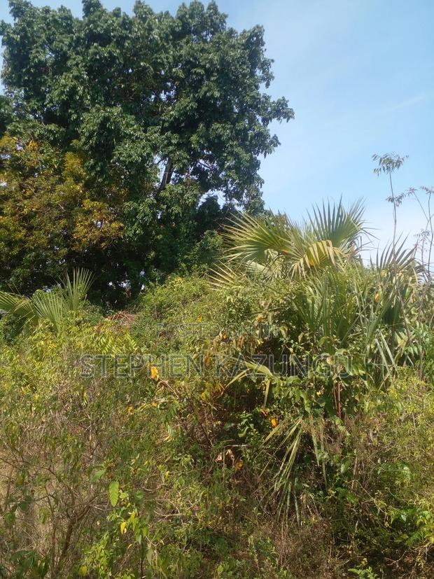 1/2 Acre Plot on Sale in Kinondo Beach Side. - thumbnail 8