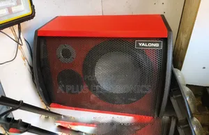 S10 10 Inch Amplified Speaker