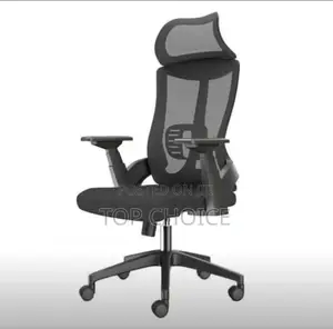 Office Chairs, Ergonomic Style