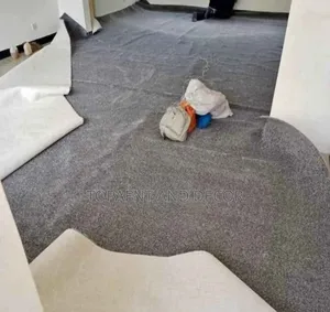 Anti Dust Wall to Wall Carpet