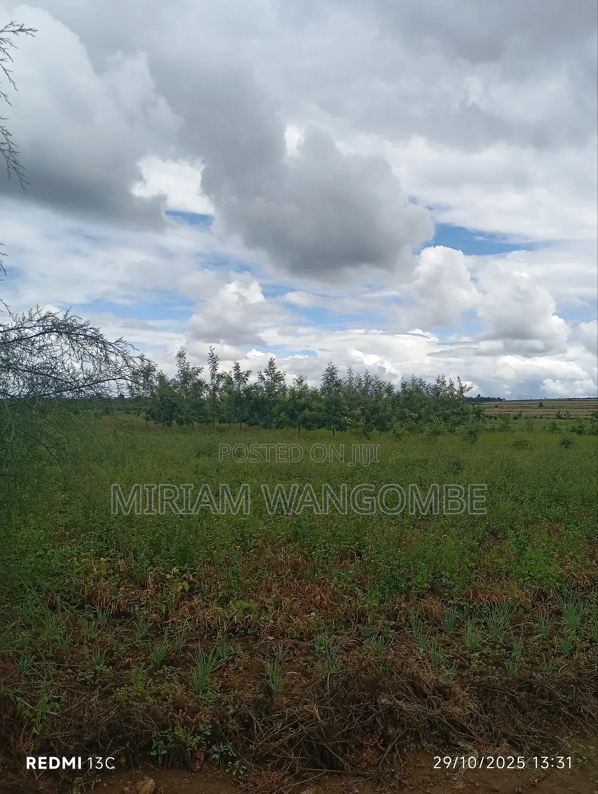 Nakuru Prime Plots