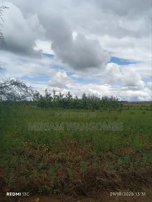 Nakuru Prime Plots