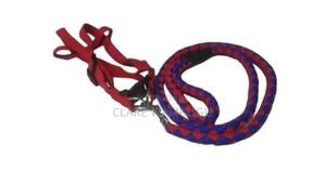 Dog Leash, Harness Collar Complete Set – Medium Size-Dv - main view